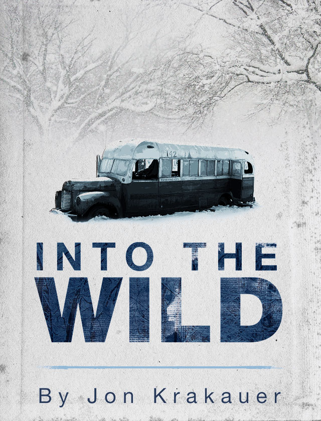 into the wild book overview